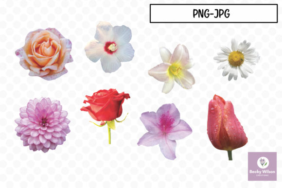 Download Real Pretty Flowers Set 01 - Flower Collection