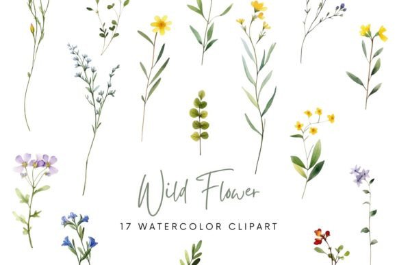 Download Watercolor Wild Flowers Sublimation - Flower Collection