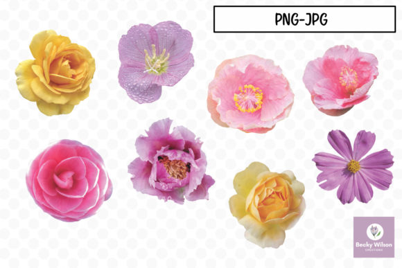 Download Real Pretty Flowers Set 02 - Flower Collection