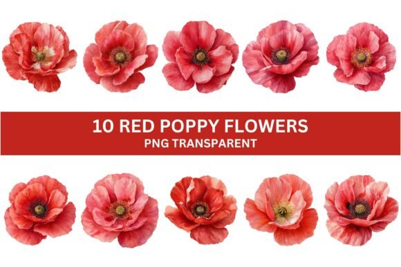 Download 10 Vibrant Red Poppy Flower PNG Set - Flower Collection